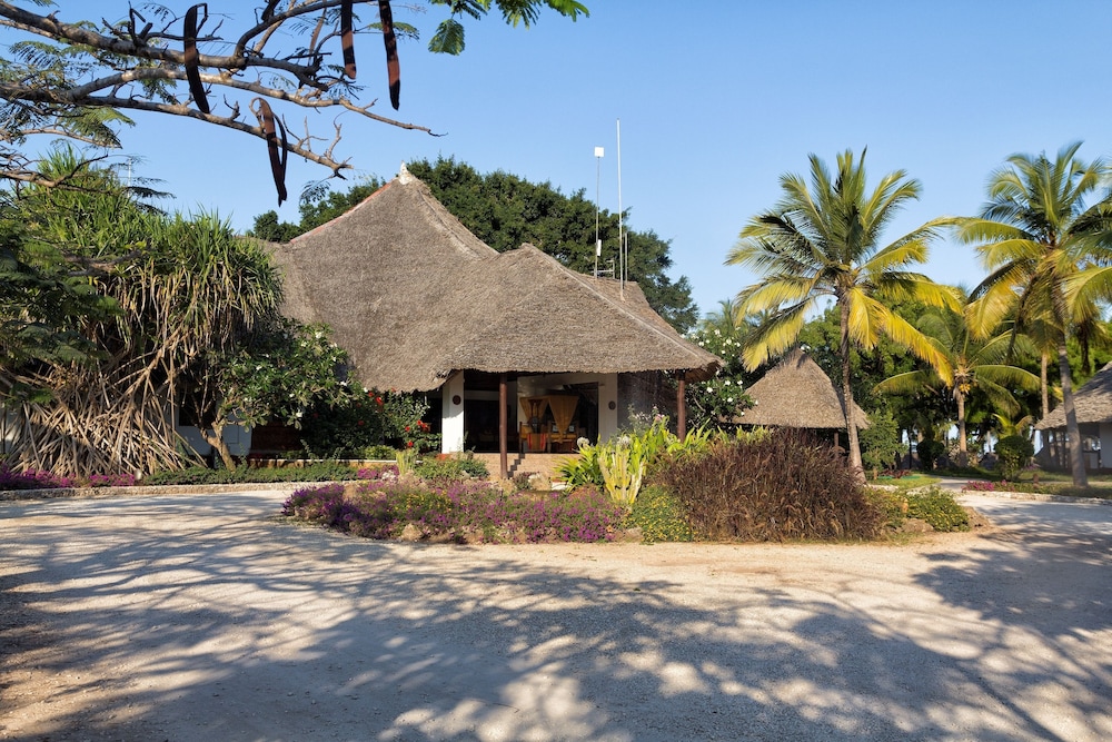 מראה חיצוני