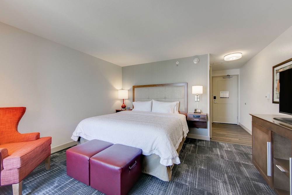 Hampton Inn & Suites North Houston Spring - photo 13