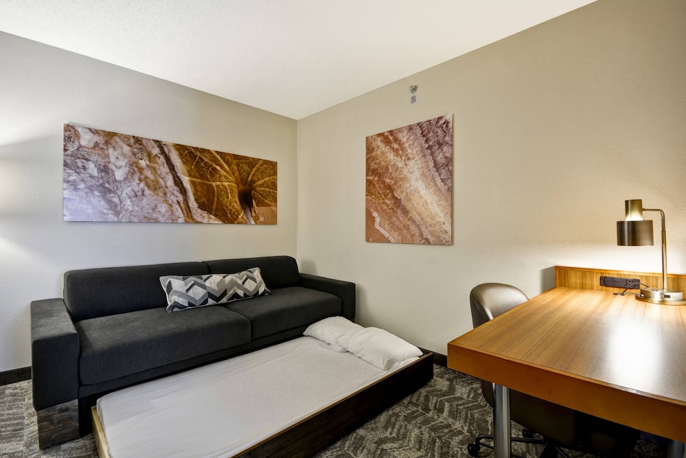 SpringHill Suites Lexington Near the University of Kentucky - photo 9