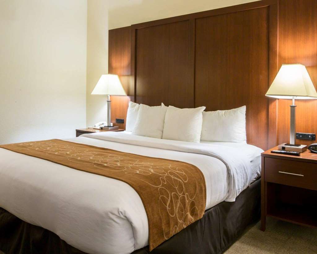 Comfort Suites Cumming Atlanta near Northside Hospital Forsyth - photo 9