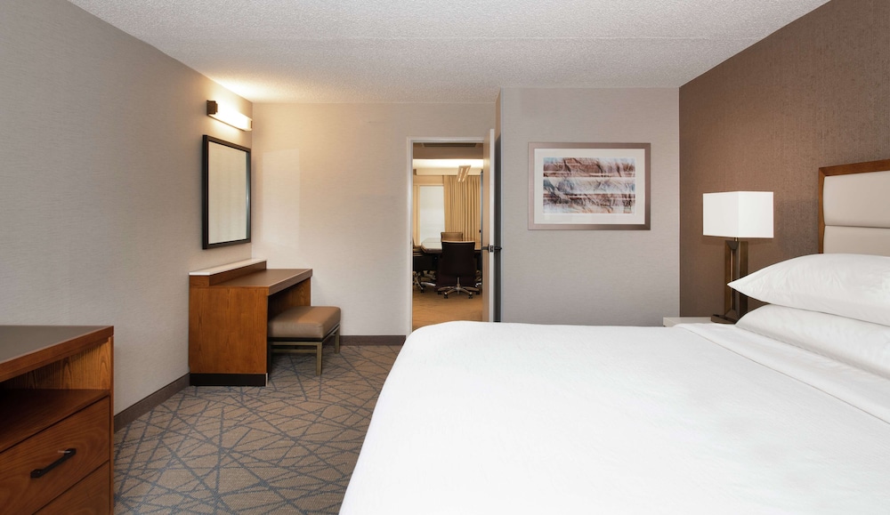Embassy Suites by Hilton Colorado Springs - photo 25
