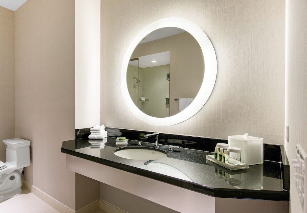 The Chicago Hotel Collection Magnificent Mile - photo 29