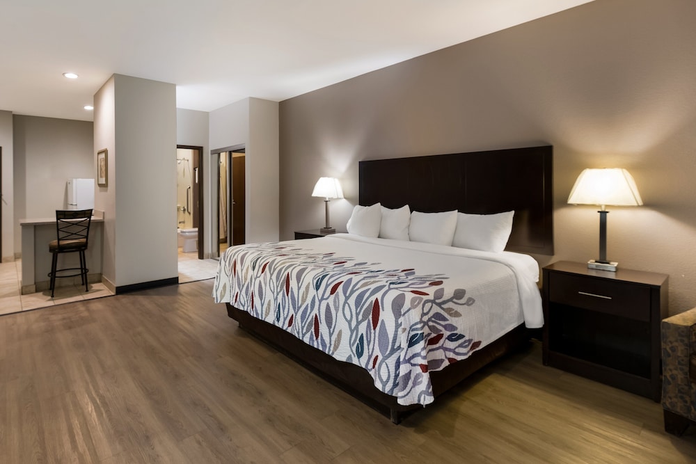 Red Roof Inn Pecos - photo 18