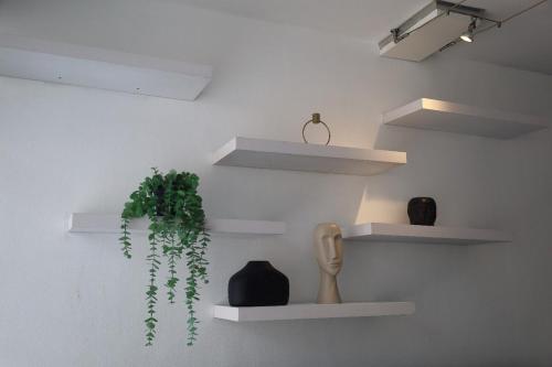 Senator Park studio apartment