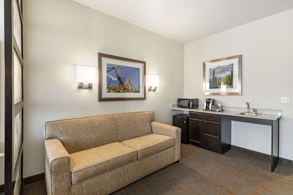 Comfort Inn & Suites Brighton Denver NE Medical Center - photo 27