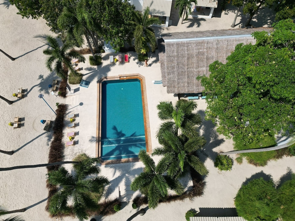 Lime & Soda Beachfront Resort in Ko Pha Ngan, Thailand