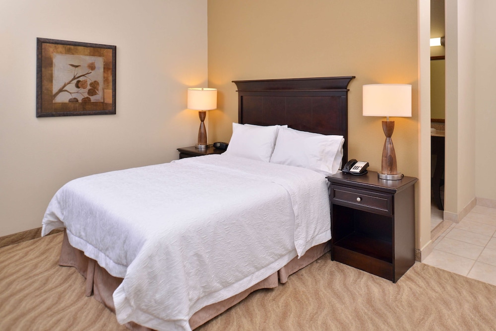 Hampton Inn Van Horn - photo 11