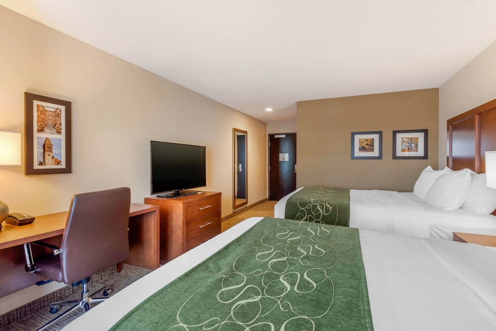 Comfort Inn & Suites Schenectady Scotia - photo 21