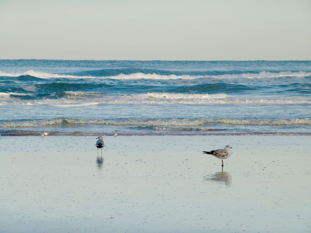 Hampton Inn Daytona Shores Oceanfront - photo 40
