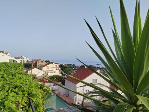 Mediterranean Vista