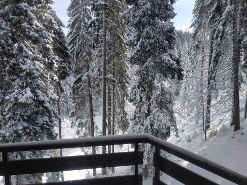 Hotel Iceberg & Spa Pamporovo in Smolyan, Bulgaria