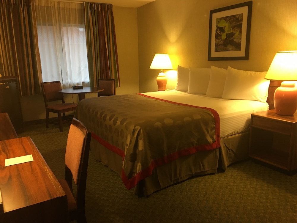 Ramada Portland Airport - photo 37