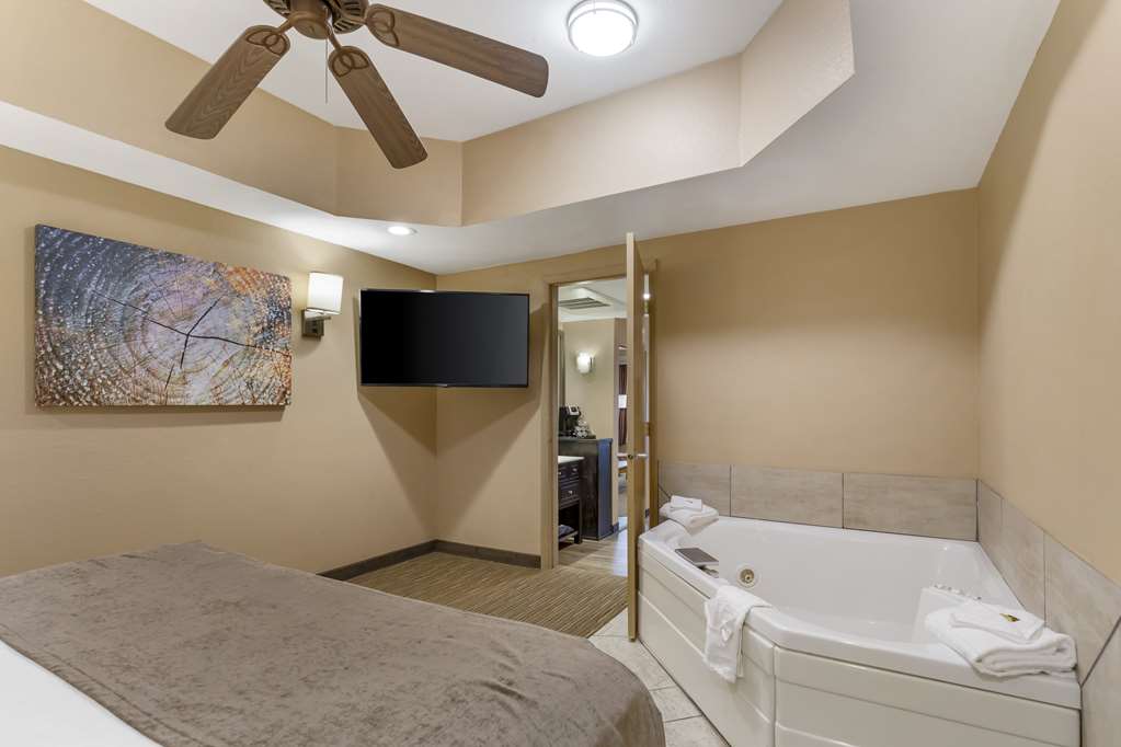 Best Western Plus Landing View Inn & Suites - photo 15