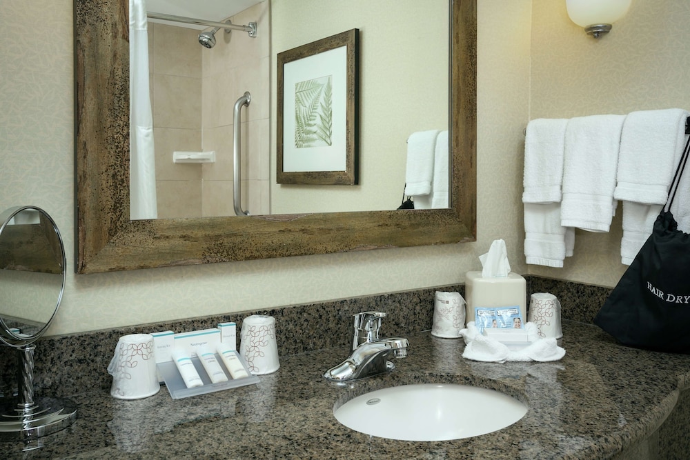 Hilton Garden Inn Seattle Issaquah - photo 29