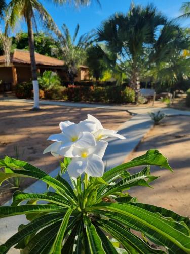 Pousada Jardim da Lagoa BA in Bom Jesus Da Lapa, Brasil