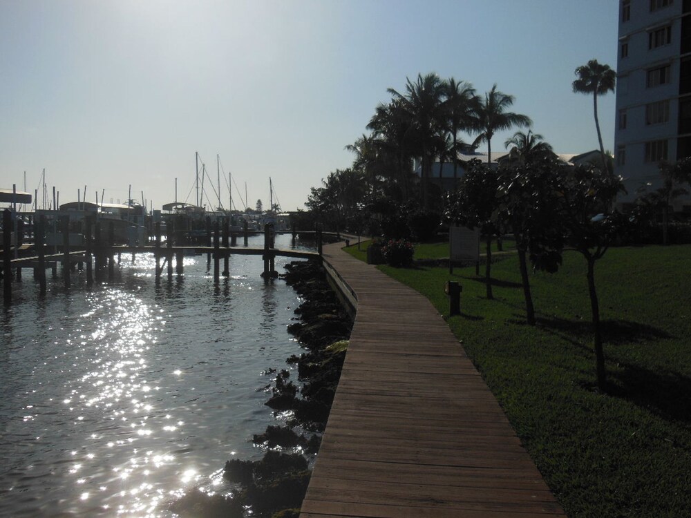 Ocean Harbor 1505b - photo 40