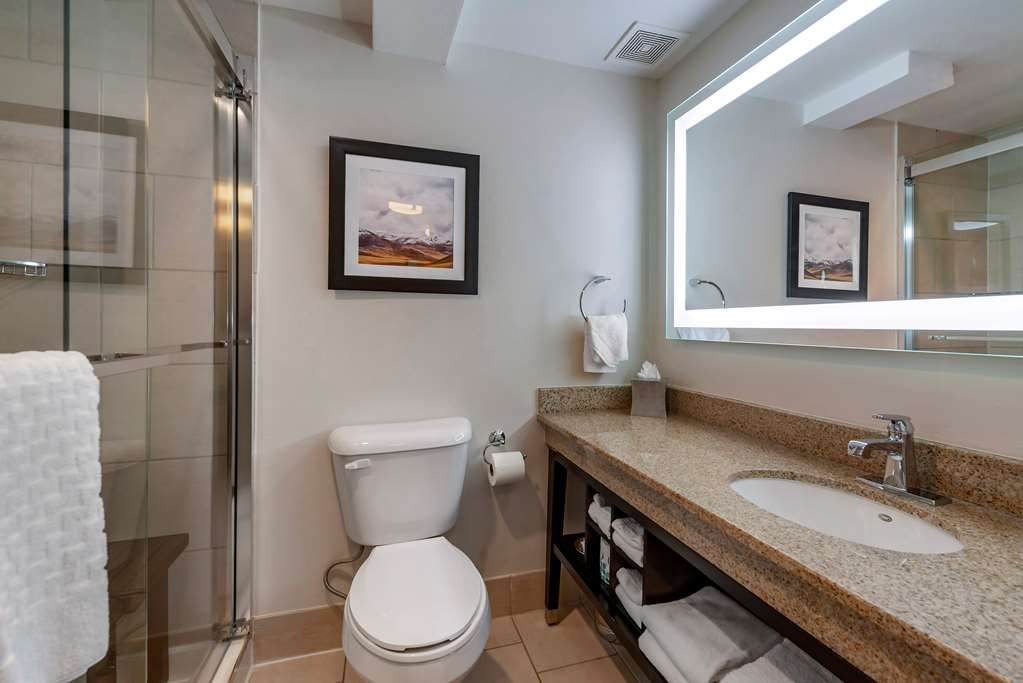 Best Western Premier Denver East - photo 12