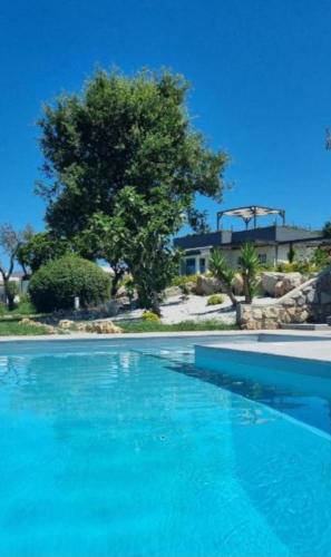 Alle Preziose Dimore in Ricadi, Italy