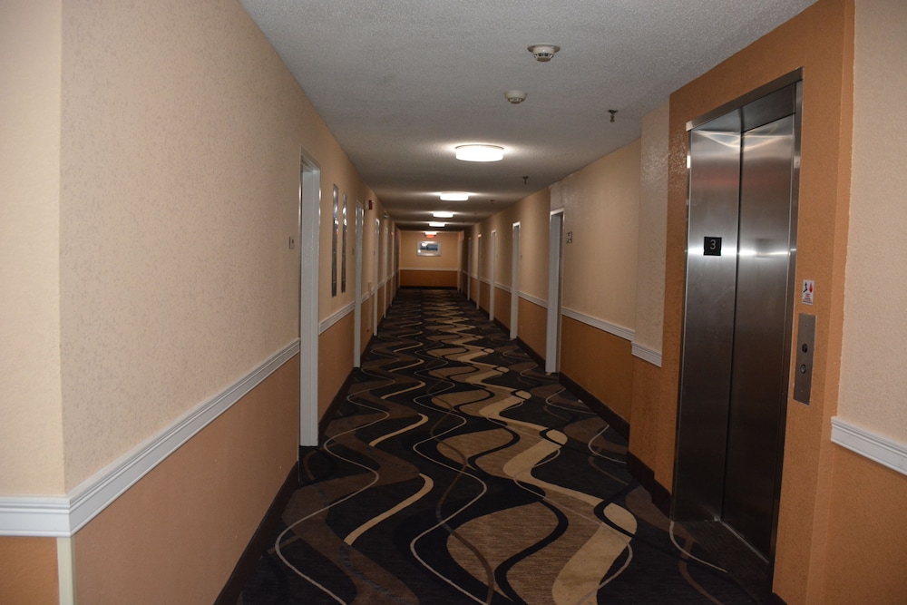 Cape Cod Hotel - photo 25
