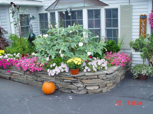 Brown's Wharf Inn - photo 20