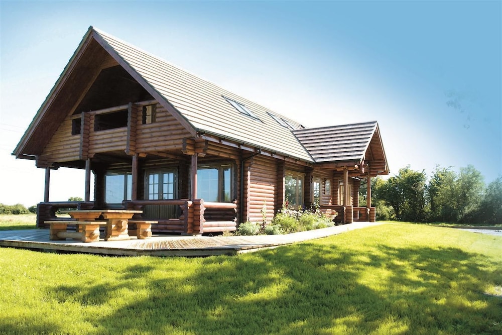 Poplars in Bridgwater, United Kingdom