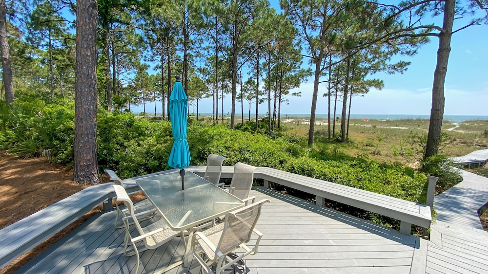 5 Black Duck at the Sea Pines Resort - photo 24
