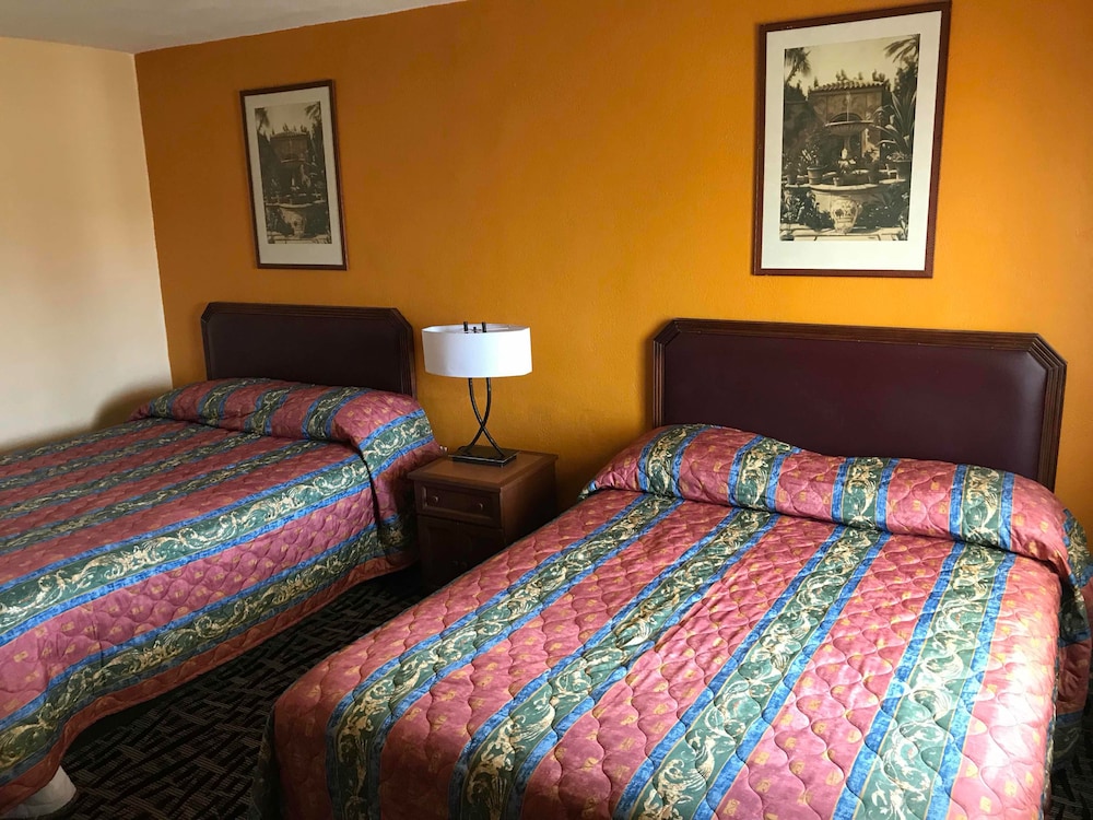 Ruta Motel - photo 4
