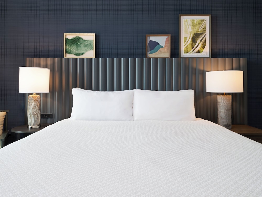 Hotel Indigo Asheville Downtown by IHG - photo 32