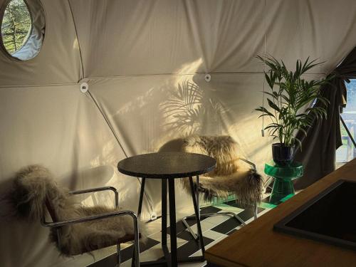Stay Classy Domes — Otterlo — photo 4