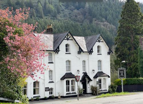Buckley Arms — hotel in Machynlleth
