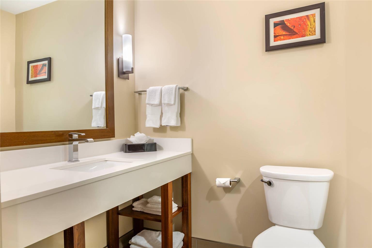Comfort Suites Florence Cincinnati South - photo 12