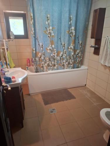 Vila Petreceri Private Aniversari Majorate Si Petreceri Pentru Copii 21744469 — Magurele