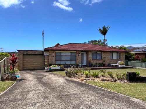 Rocky in South West Rocks, Australia