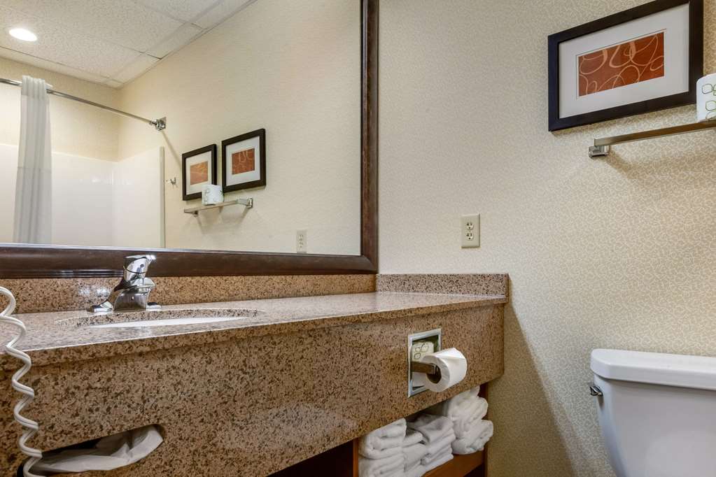 Comfort Suites Hotel and Conference Center - photo 17