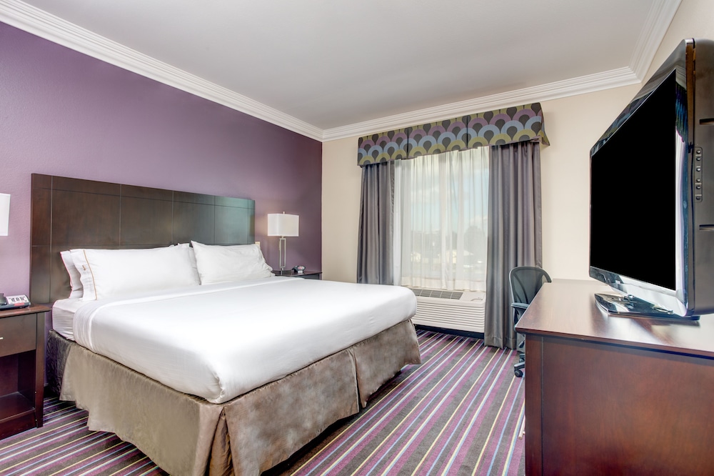 Holiday Inn Express Hotel & Suites Raceland Highway 90 by IHG - photo 9