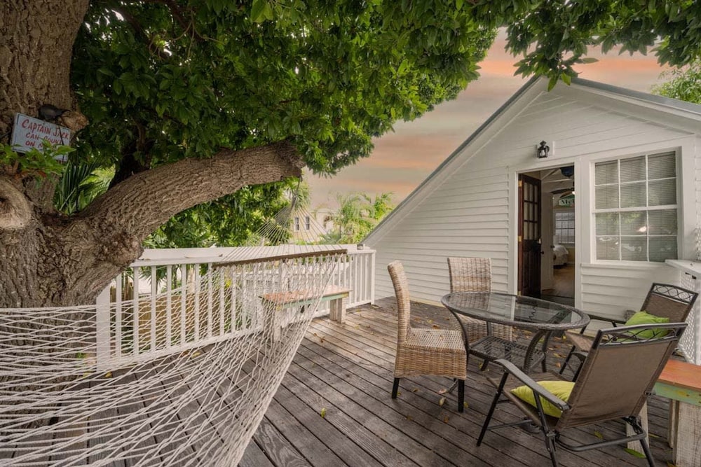 Southern Palms - photo 15