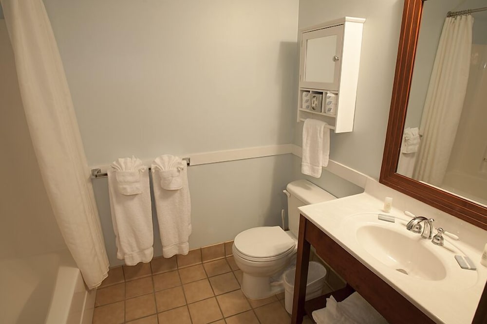 Allegheny Springs - photo 22