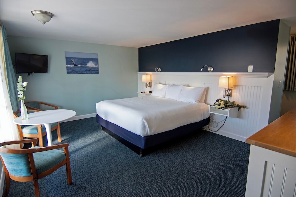 Cape Colony Inn - photo 16