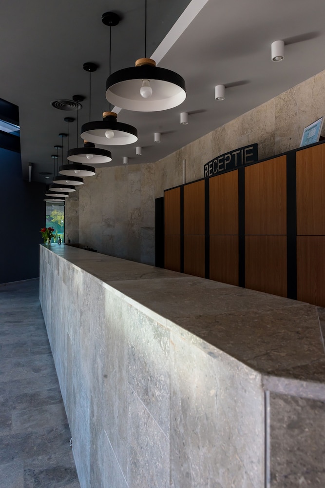 Werk Hotel & Spa — Hunedoara — photo 3
