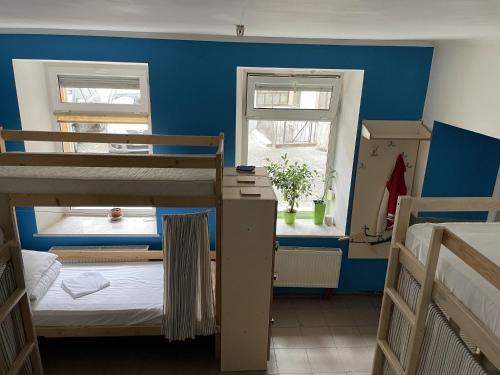 Antihostel Forrest — Lviv — photo 3