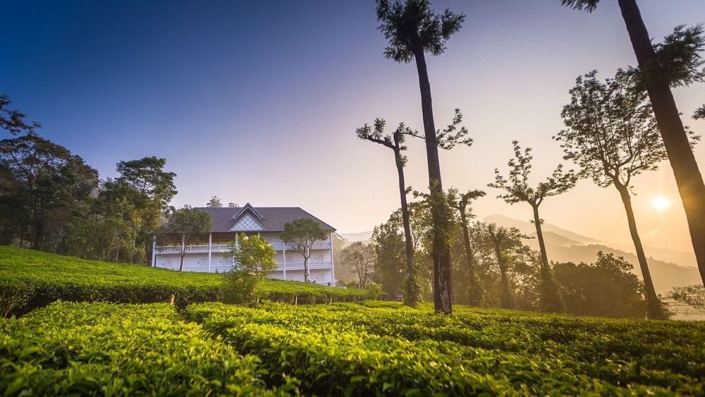 Tea Harvester Munnar - last minute hotel in Munnar