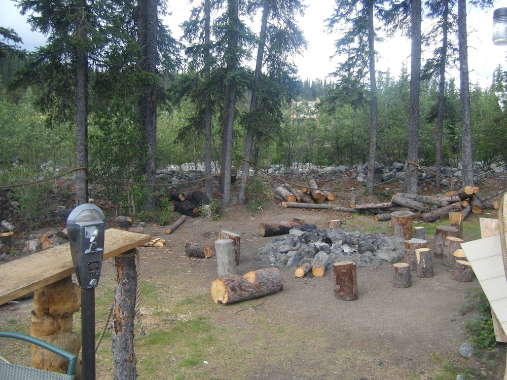 Denali Perch Resort - photo 13