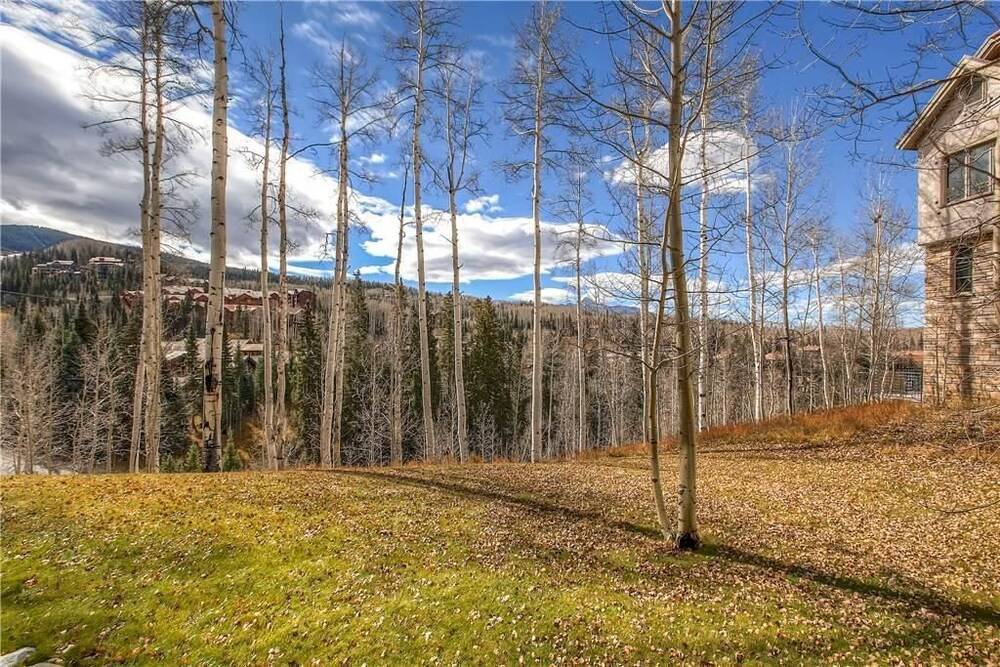 Aspen Ridge 6 - photo 21