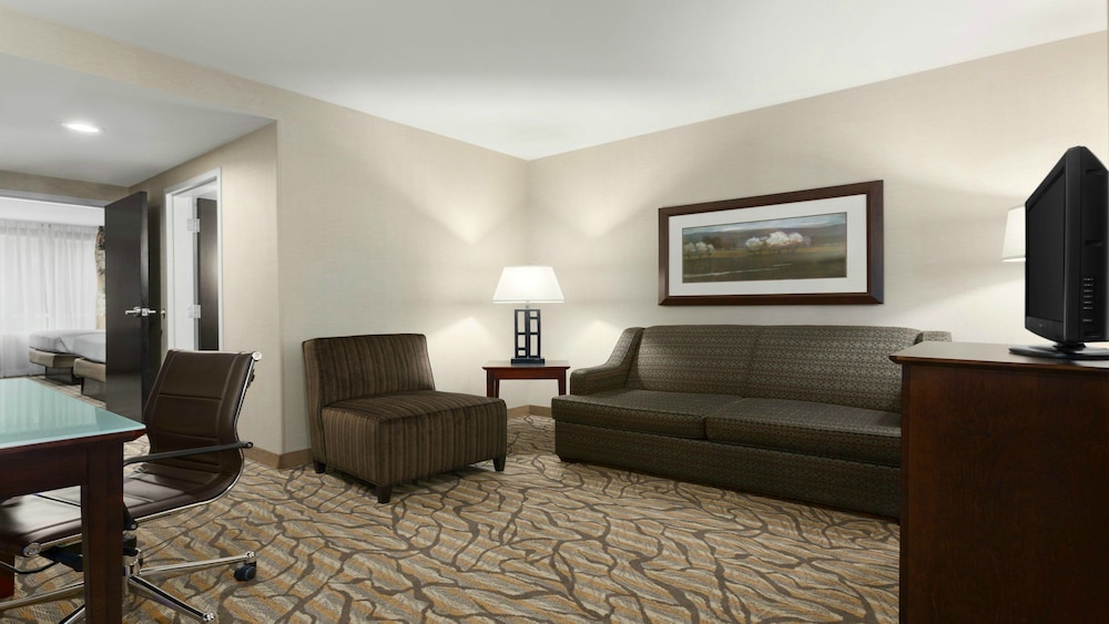 Holiday Inn Hotel & Suites Williamsburg Historic Gateway by IHG - photo 9