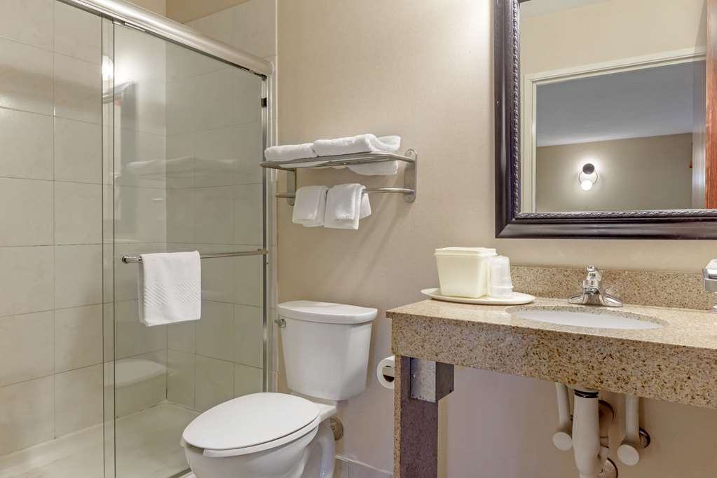 Quality Inn Raleigh Downtown - photo 19