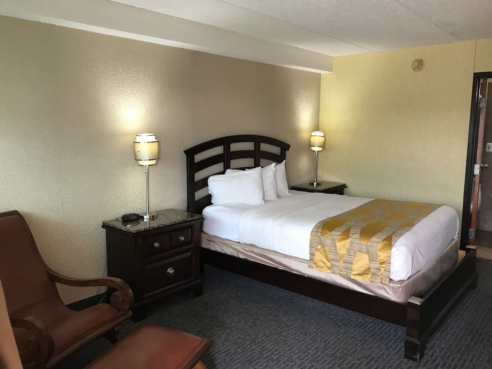 Marvin's Garden Inn - photo 10