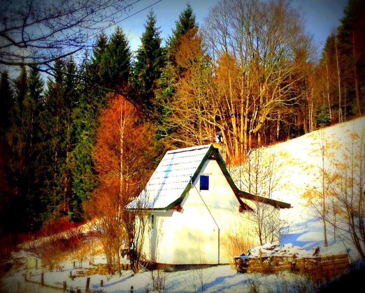 Dziewięćsił domek w górach in Duszniki-Zdroj, Poland