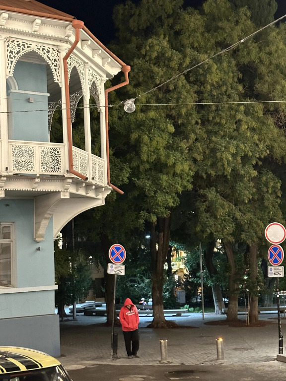 Apartment Gudiashvili square