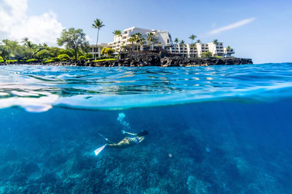 Outrigger Kona Resort & Spa - photo 38