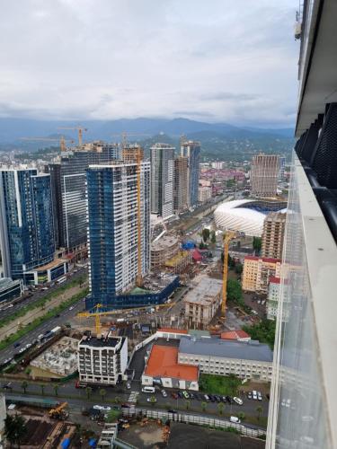 Panorama Orbicity